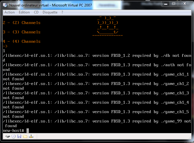 112135vpc-bug.png