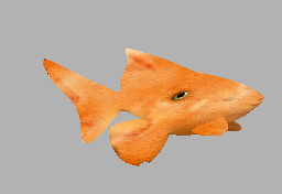 .png