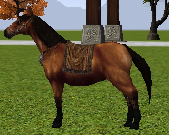 081616poneymembre.jpg