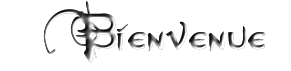 283715Bienvenue.png