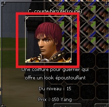 055500Tuto1.jpg