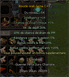 132926t11.png