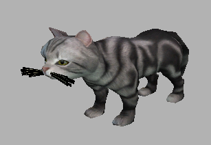 .png